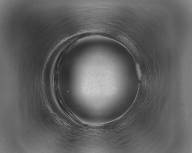 X0000076300676200610061305