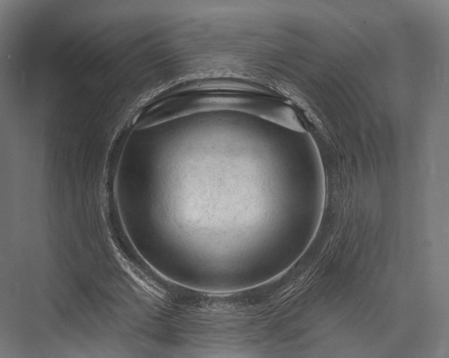 X0000076300677200610061304