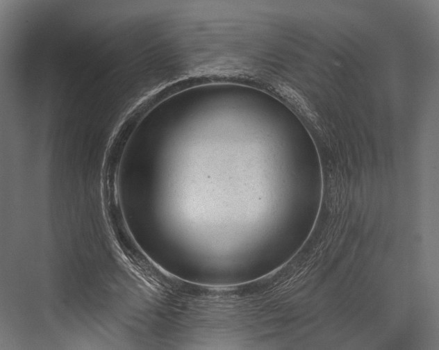 X0000076300680200610061304