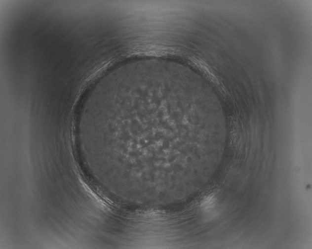 X0000076300683200610061304