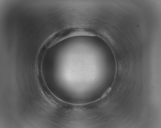 X0000076300684200610061304