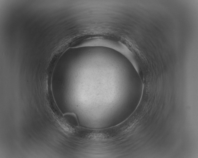 X0000076300685200610061304