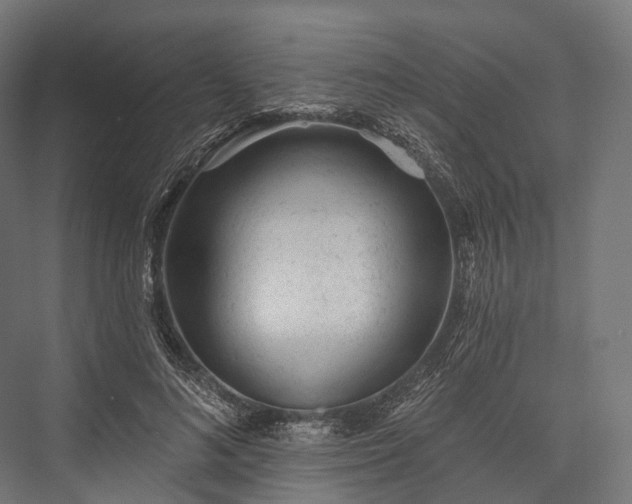 X0000076300692200610061304