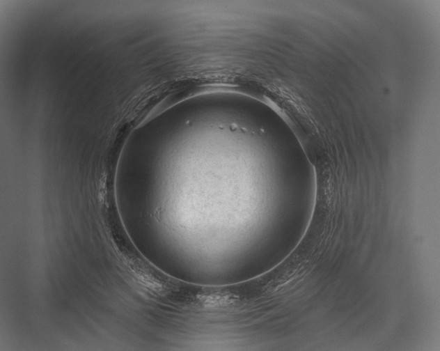 X0000076300693200610061304