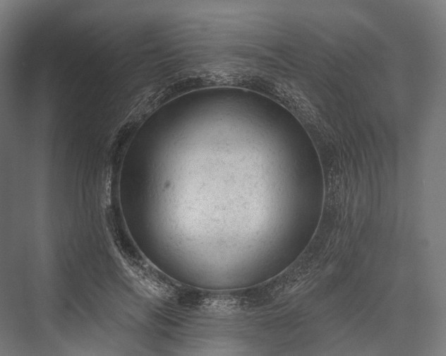 X0000076300694200610061304