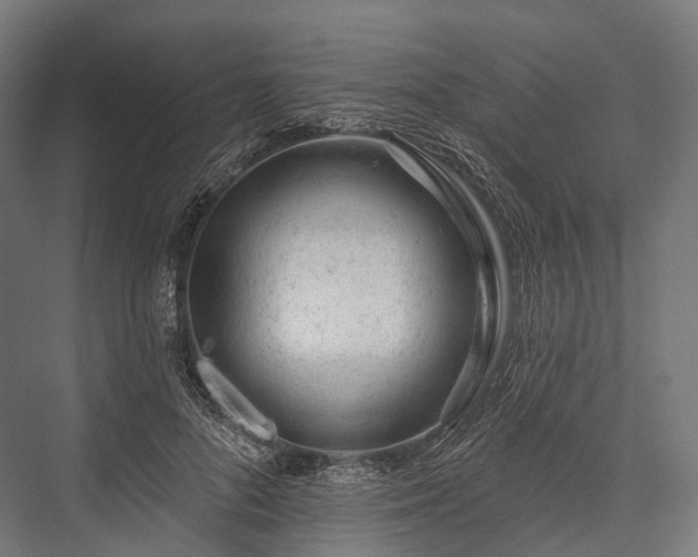 X0000076300696200610061304