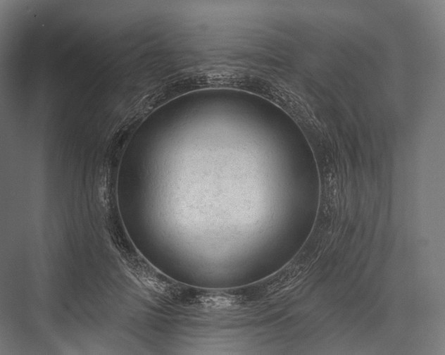 X0000076300698200610061304