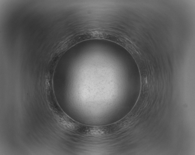 X0000076300702200610061304