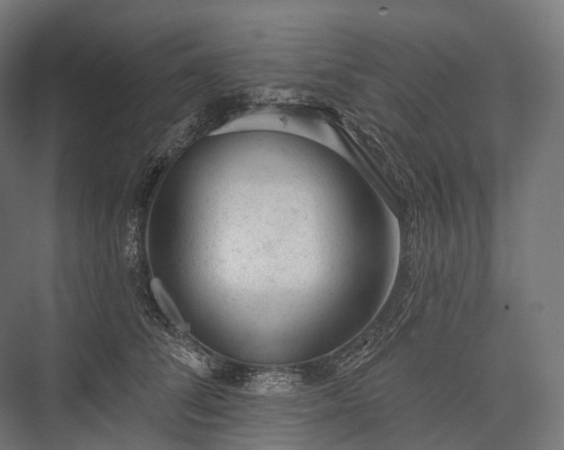 X0000076300708200610061304
