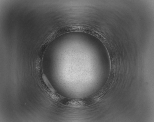 X0000076300712200610061304
