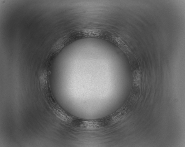 X0000076300713200610061304