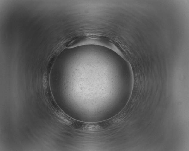 X0000076300716200610061304