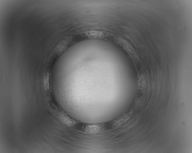 X0000076300717200610061304