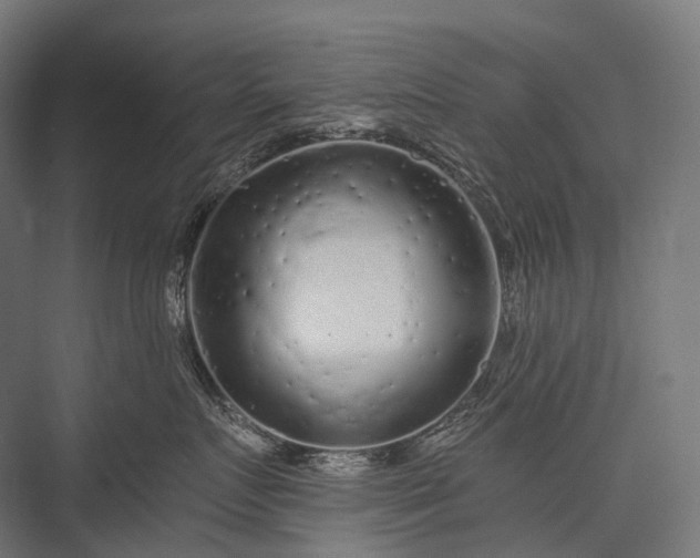 X0000076300719200610061304