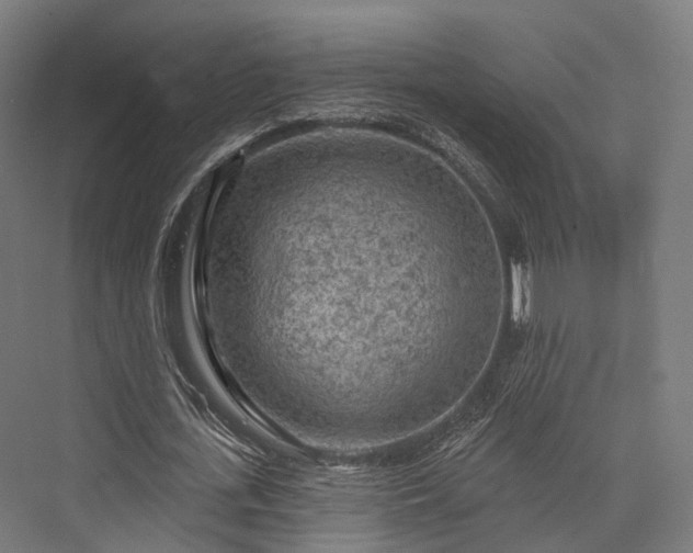 X0000076300723200610061303