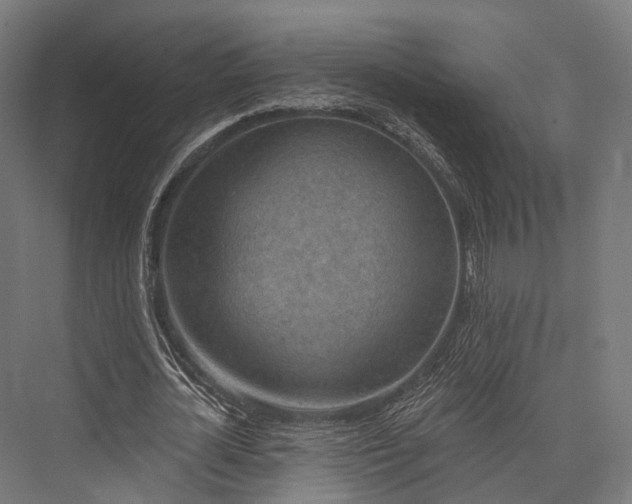 X0000076300724200610061303