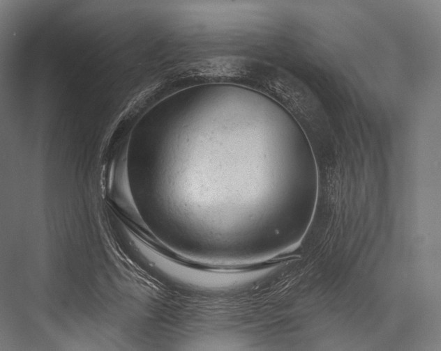 X0000076300731200610061303