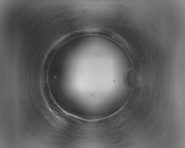 X0000076300732200610061303