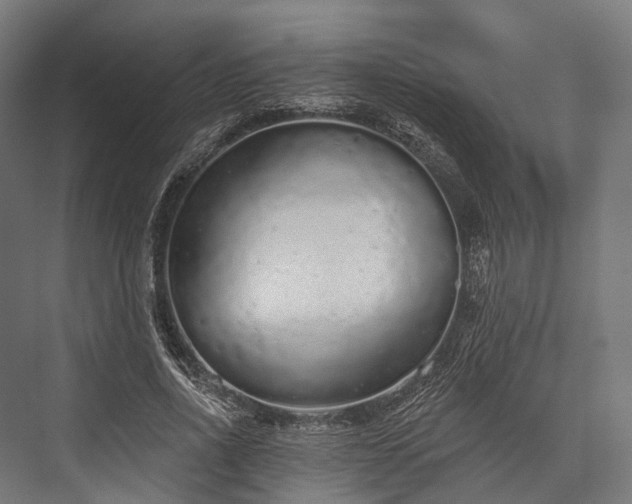 X0000076300734200610061303