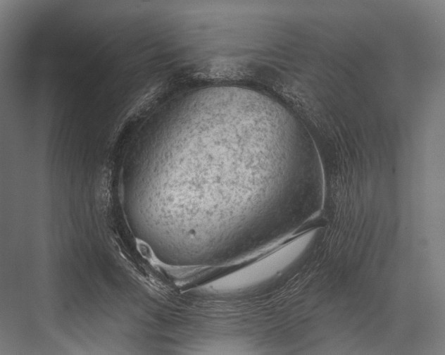 X0000076300735200610061303