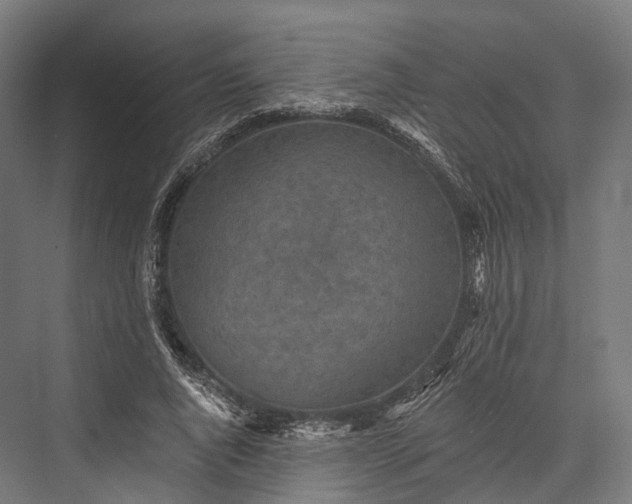 X0000076300736200610061303