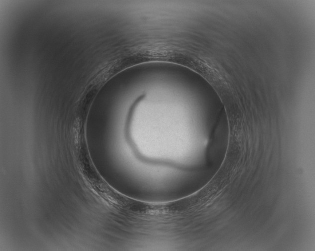 X0000076300744200610061303