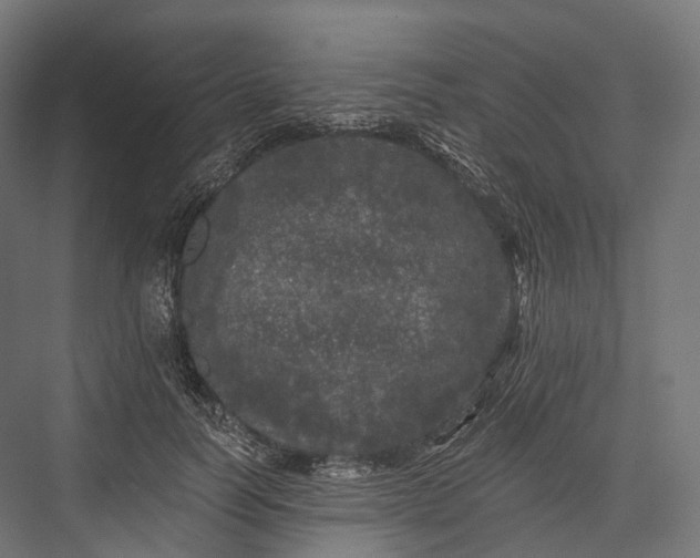 X0000076300746200610061303