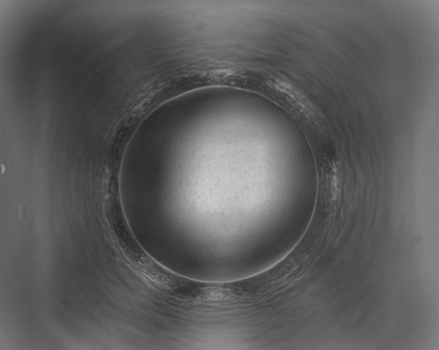 X0000076300750200610061303