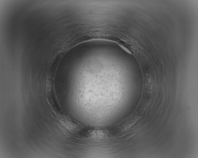 X0000076300751200610061303