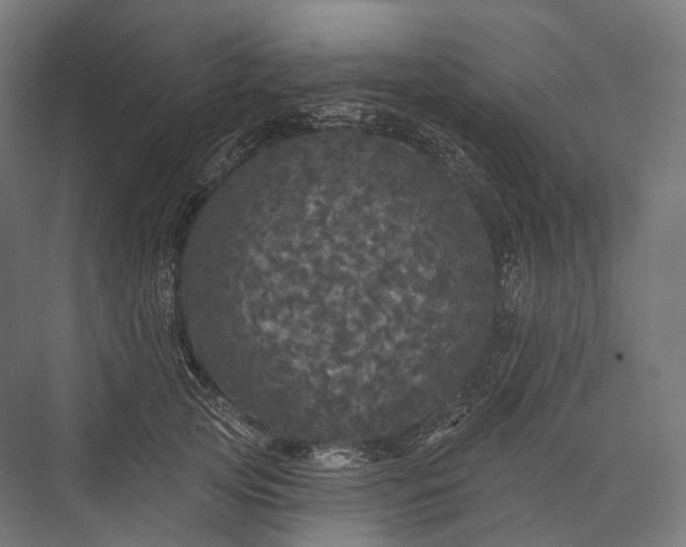 X0000076300753200610061303