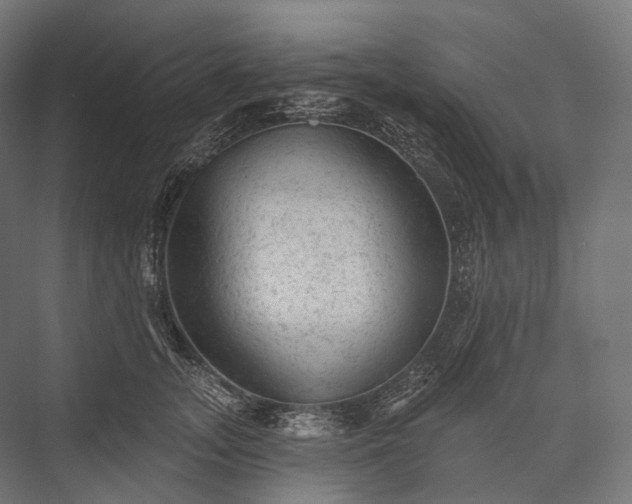 X0000076300755200610061304
