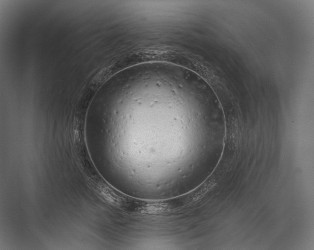 X0000076300758200610061304