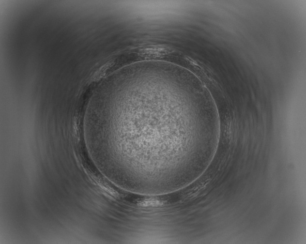 X0000076300759200610061304