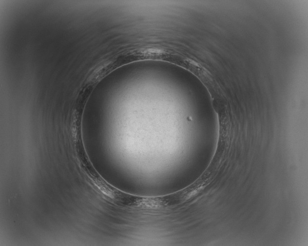 X0000076300762200610061304