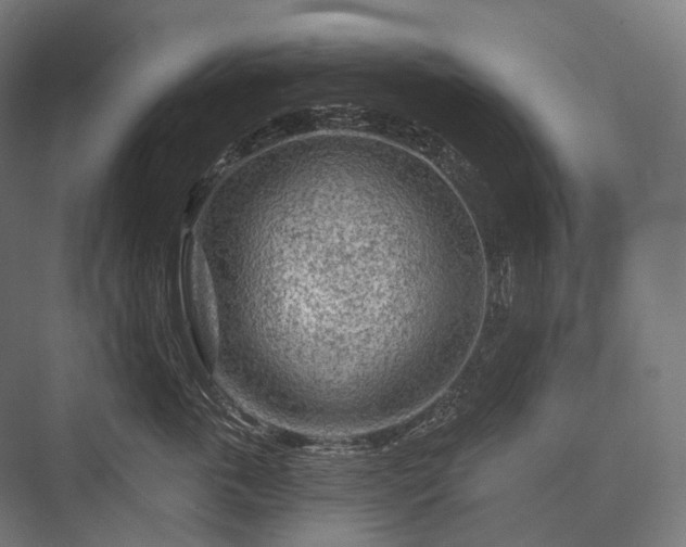 X0000076300763200610061304
