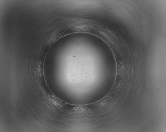 X0000076300764200610061304