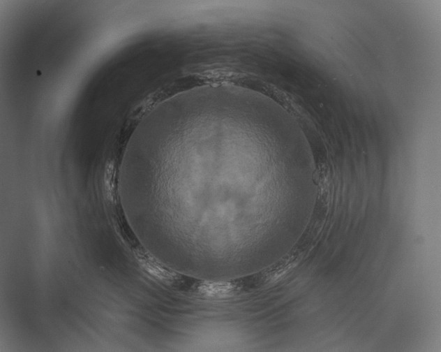X0000076300767200610061304