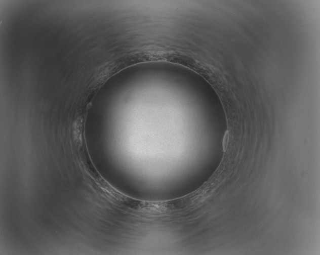X0000076300768200610061304