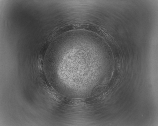 X0000076300770200610061303