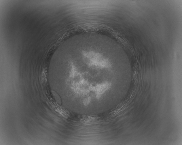 X0000076300772200610061303