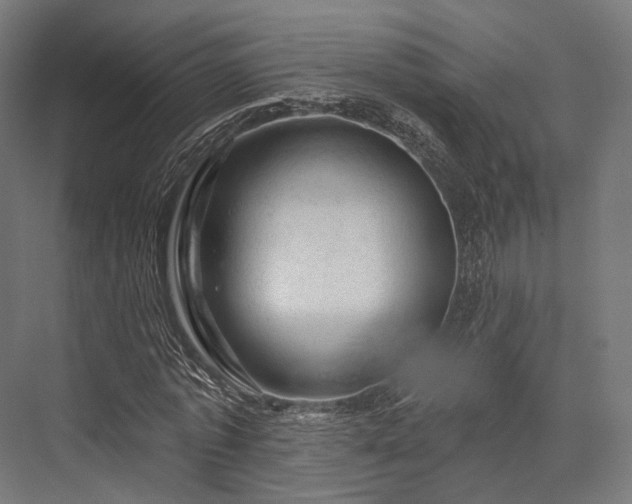 X0000076300773200610061303