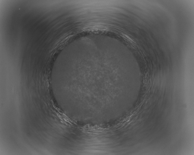 X0000076300774200610061303
