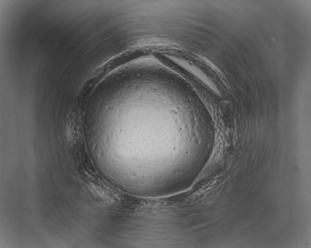 X0000076300775200610061303