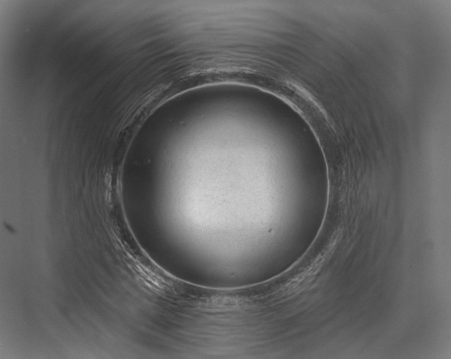 X0000076300777200610061303