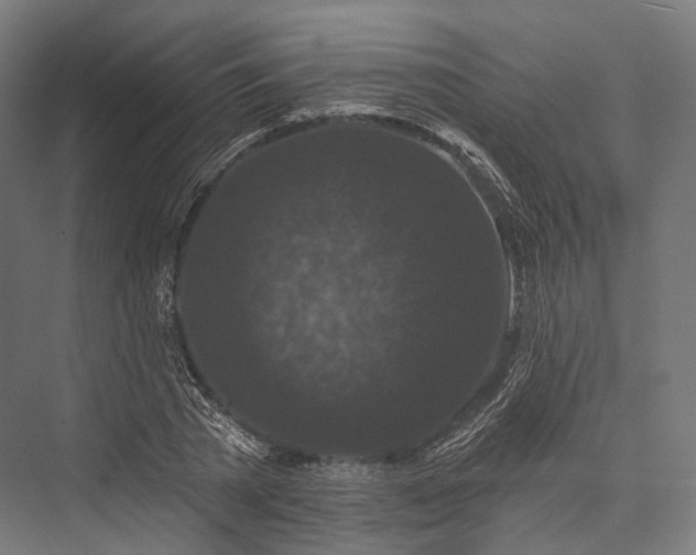 X0000076300785200610061303