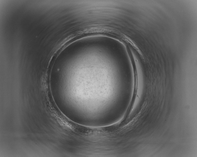 X0000076300786200610061303