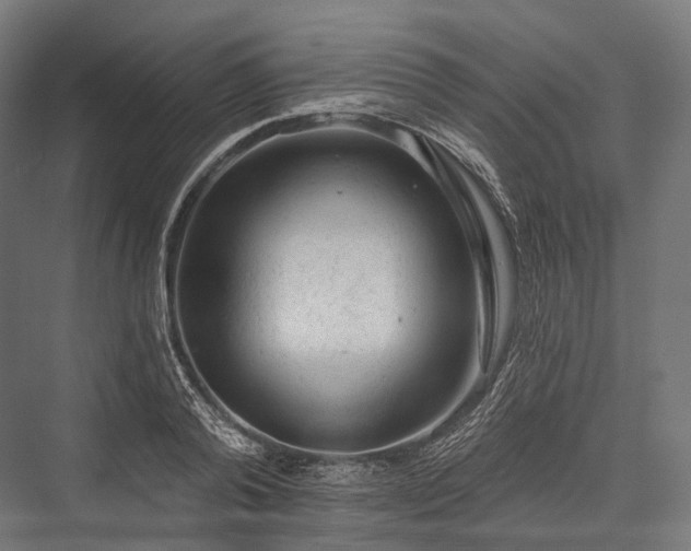 X0000076300792200610061303