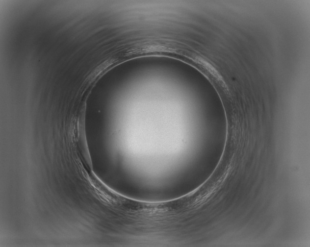 X0000076300793200610061303