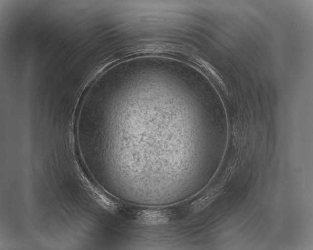 X0000076300794200610061303