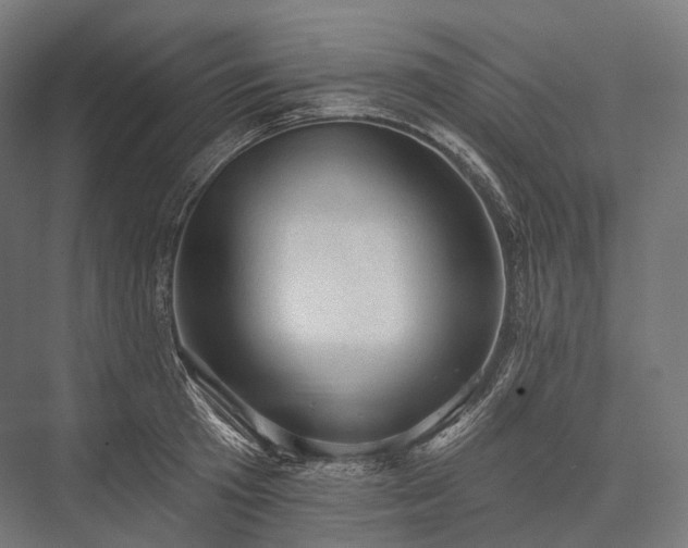 X0000076300801200610061302